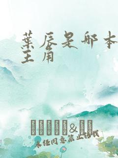 叶辰是哪本小说主角