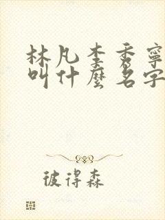 林凡李秀宁小说叫什么名字