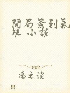 开局签到气运系统 小说