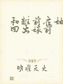 和离前夜她重生回出嫁前