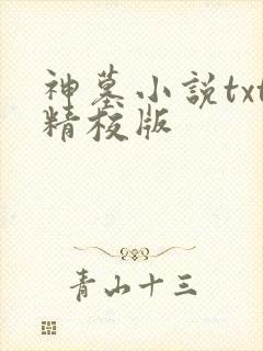 神墓小说txt精校版