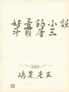 好看的小说穿越斗罗唐三