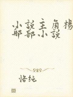 小说主角杨飞是哪部小说