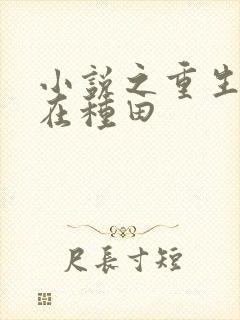 小说之重生娘子在种田