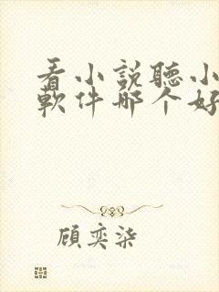 看小说听小说的软件哪个好