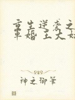 重生逆袭之头号军婚 王大姑娘