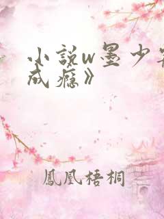 小说w墨少宠妻成瘾》