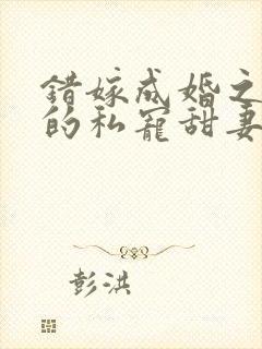 错嫁成婚之总裁的私宠甜妻完整版