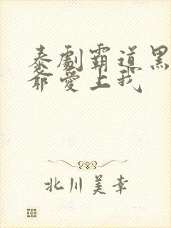 泰剧霸道黑帮少爷爱上我