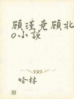 顾瑾尧顾北弦苏o小说