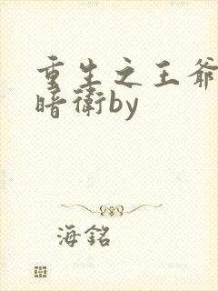 重生之王爷独宠暗卫by