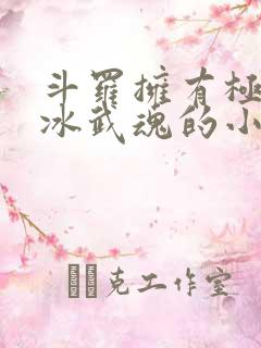 斗罗拥有极致之冰武魂的小说