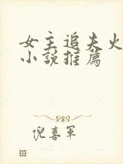 女主追夫火葬场小说推荐