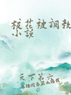 校花被调教玩弄小说