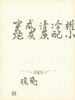 穿成清冷权臣的炮灰原配小说