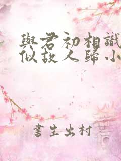 与君初相识·恰似故人归小说