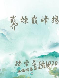 武炼巅峰杨开简介