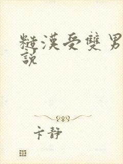 糙汉受双男主小说