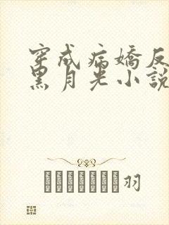 穿成病娇反派的黑月光小说免费阅读