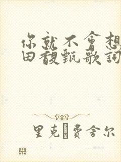 你就不会想起我田馥甄歌词