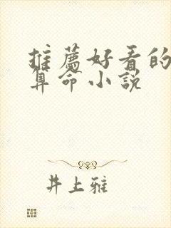 推荐好看的风水算命小说