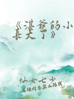 《湛爷的小妖精长大了》