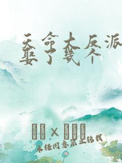 天命大反派结局娶了几个