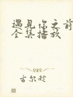 遇见你之前短剧全集播放