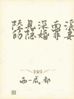 陆见深南溪陆少的隐婚罪妻