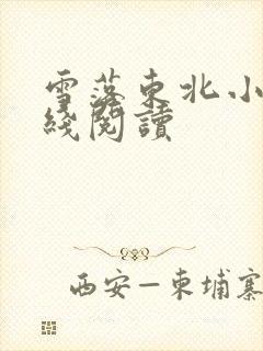 雪落东北小说在线阅读