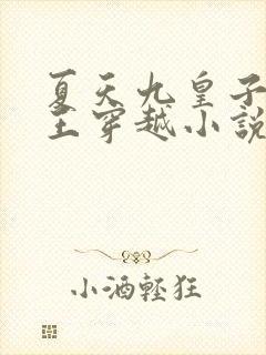 夏天九皇子荒州王穿越小说