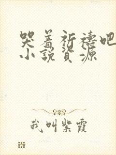 哭着祈祷吧原著小说资源