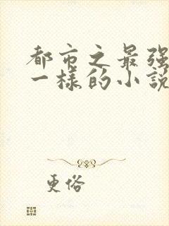 都市之最强狂兵一样的小说