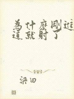 为什么刚进入阴道就射了