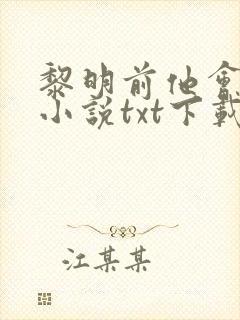 黎明前他会归来小说txt下载