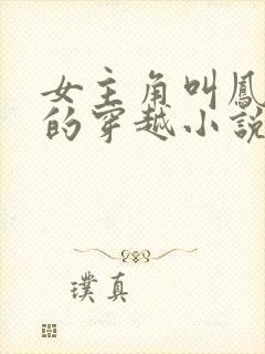 女主角叫凤九歌的穿越小说