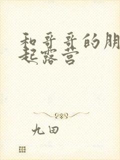 和哥哥的朋友一起露营