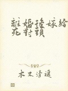 离婚后嫁给前夫死对头