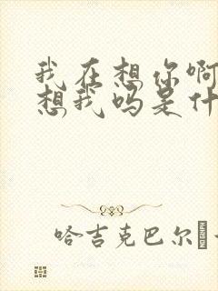 我在想你啊你在想我吗是什么歌