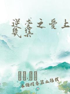 逆袭之爱上情敌几集