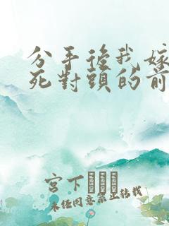分手后我嫁给了死对头的前男友