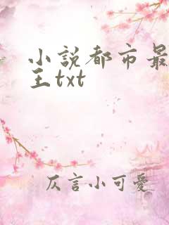 小说都市最强兵王txt