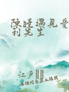 陈晓遇见爱情的利先生