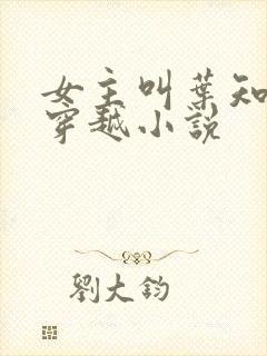 女主叫叶知秋的穿越小说