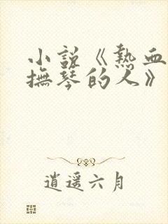 小说《热血争锋抚琴的人》