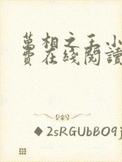 万相之王小说免费在线阅读