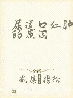 尿道口红肿异味的原因