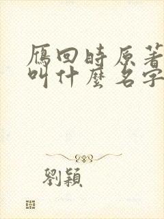 雁回时原著小说叫什么名字