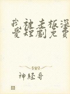 我被老板深深溺爱短剧免费全集