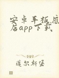 安卓平板应用商店app下载